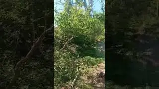 поход, форт 10
