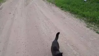 #День