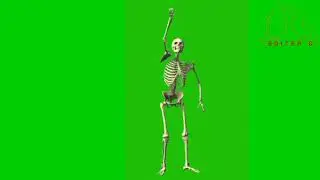 Human skeleton green screen video| Editor G