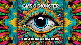 GMS & Dickster - Dilation Vibration