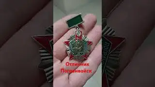 Нагрудный Знак .Отличник Погранвойск !. 