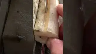 Keserken kıvılcım çıkartan Diş.     Sizce ne olabilir ?
