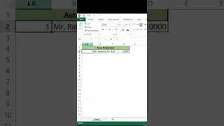 Apply Automatic Borders in MS-Excel || Advance Excel Tips and Tricks.