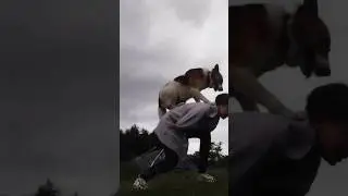 шаблон вау❤️‍🩹 