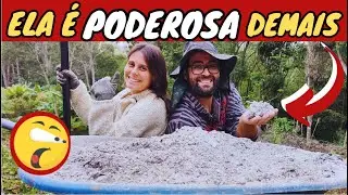 ✅O SEGREDO da CINZA na AGRICULTURA ( Guia mais Completo e atualizado)
