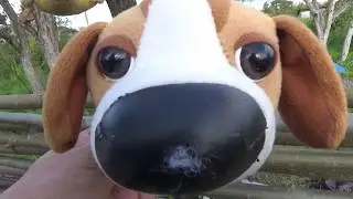 Toy Dog vs Toy Rooster