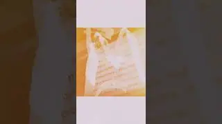 История создания обложки OG Buda! 