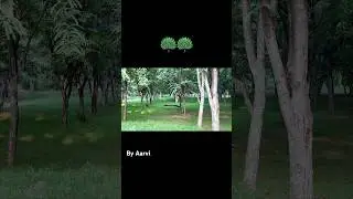 Day-24 (Beautiful Peacock 🦚🦚) #artistaarvi #shortsfeed #trending #youtube #viral#100dayschallenge