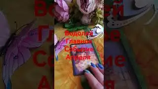 9 апреля 2024 г.