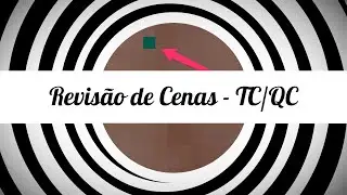 Composição - Revisão de Cenas, Tech Check, Quality Control