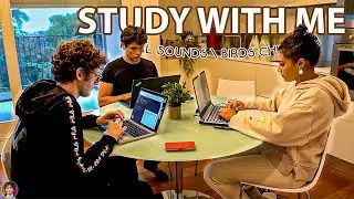 3 HOUR STUDY WITH ME | Friends, 10-min Break, Nature Sounds, Background Noise, Study Group