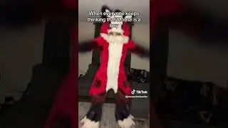 Female FURRY! 