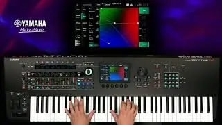 Montage M Tips | Create new Smart Morph variants based on Presets