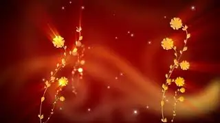 Animated Floral Background Video Effect | 1080p
