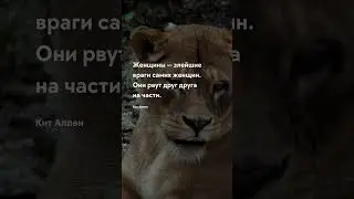 На части Женщины - короткие цитаты со смыслом 