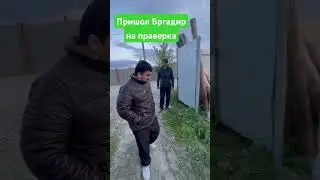 Бригадир пришел на проверку 