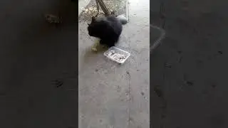Теперь можно заниматься своими делами.
