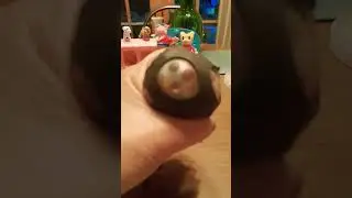 Big spider 🕷 Squishy Toy Asmr #toys #stressrelief #satisfying #squishy #fidgettoys