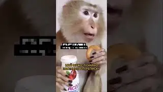 Когда подружки показывают, что готовили на ужин😀