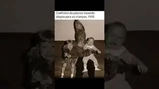 O QUE O PIOLHO VÊ | MEMES #memebr #meme #humor #comedia #viral #shorts 263