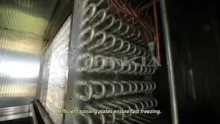 Iqf Tunnel Freezer Price