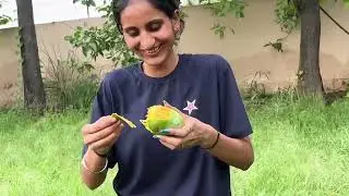 July the month of mangoes… At farmhouse full day vlog.😻