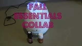 Fall Essentials Collab
