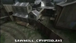 Sawmill_cryptid.avi