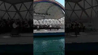 АСТАНА ТӨРІНДЕ АДАЙЛАР