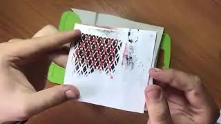 Видео от подписчика Петра Рыжковича.