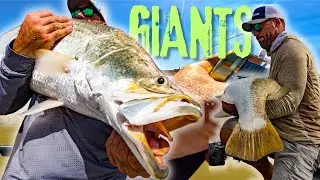Don't mess with Barramundi. My fishing lesson learned the HARD way!