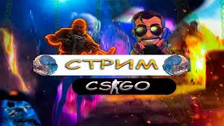✨Стрим | csgo | Вечерний кс го