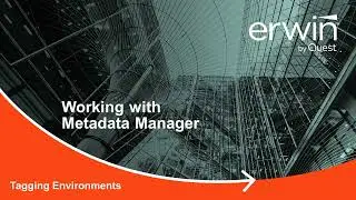 Metadata Manager Tagging Environments v12