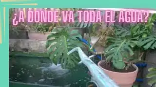 QUE HACEMOS CON EL AGUA DEL ESTANQUE