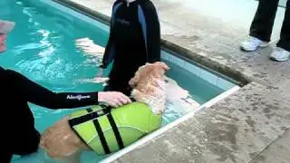 20110120_Hydrotherapy 003.avi