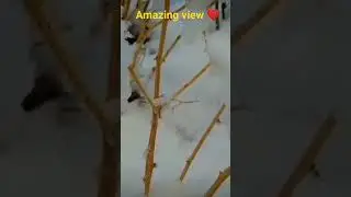 Sare ldko ki kar do  song