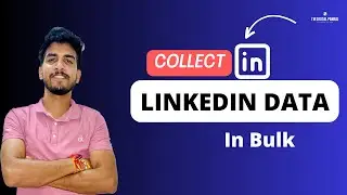 How to collect Person and Companies Data From 