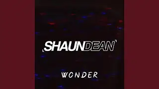 Wonder