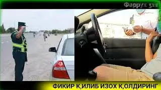 GAI BILAR BIR KUN ALKOTESTRSIZ GAPYO XAYDOVCHIGA XUQUQINI TALAB QILDI