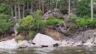 Nice striper spot