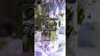 Немного лета в ваше весеннее утро!
