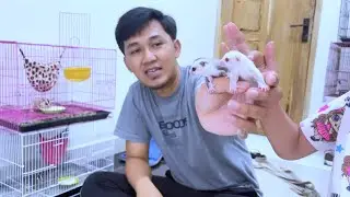 Wow!! Jinak dari lahir