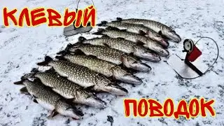 #щуканаживца #щука #щукарь #щуканажерлицу Поводок на жерлицы. Флюорокарбоновый поводок.скрутка