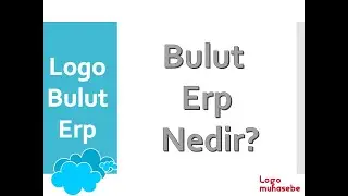 Logo Bulut Erp Nedir?