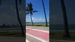 amo Maceió