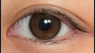 [아이돌렌즈] 유리알 워터브라운 보정 없는 솔직 리뷰 / [IDOL LENS] YURIAL WATER BROWN  COLOR CONTACT LENS REVIEW