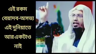 অসভ্যতা কাকে বলে।।