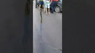 Алматинская область. Кулджинский тракт страшное дтп