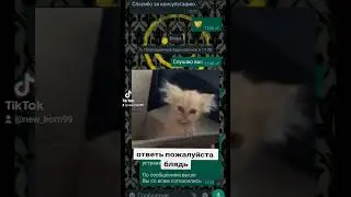 переписка с клиентом. часть 1...