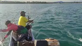 teknik Trolling menggunakan umpan Rapala